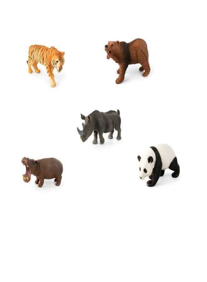 DTR Creation Wild Animal Figurines Toy Set - 5 Pcs (Tiger, Bear, Rhino, Hippo, Panda) | Jungle Safari Animals | Kids Educational Animal Toys | Birthday Gift Pack for Boys & Girls - Image 1